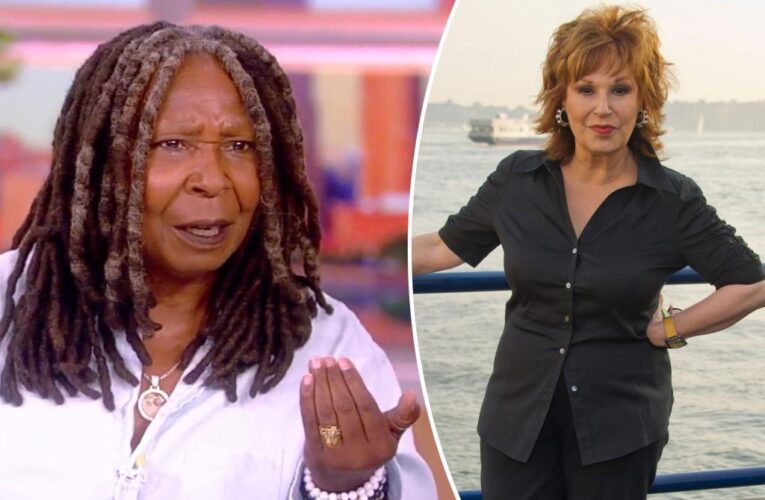 Joy Behar married to have someone to ‘pull the plug’