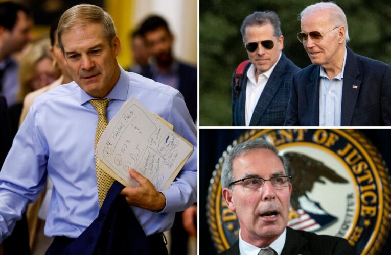 DOJ indicted Hunter Biden to protect Joe, Rep. Jim Jordan says