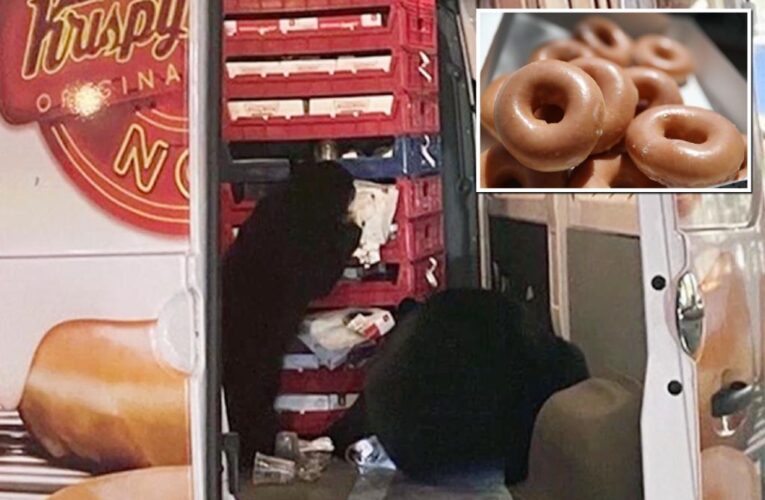 Bears caught raiding Krispy Kreme delivery van