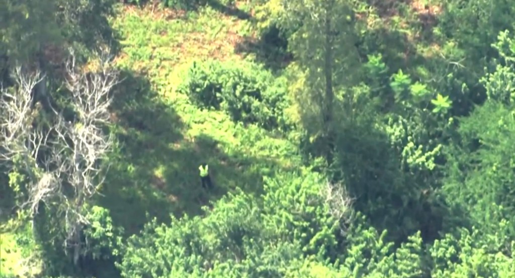 Aerial view of the patrol search of the grounds of Disney's Magic Kingdom 