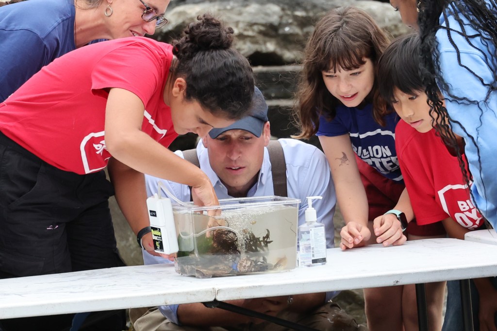 Photo of Prince William looking at Oysters. 