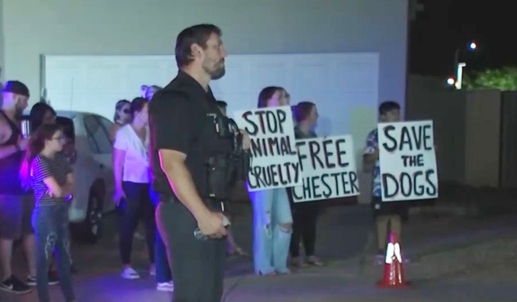 Protesters held a demonstration outside the home on the night Mclaughlin was arrested and the dogs were rescued. 