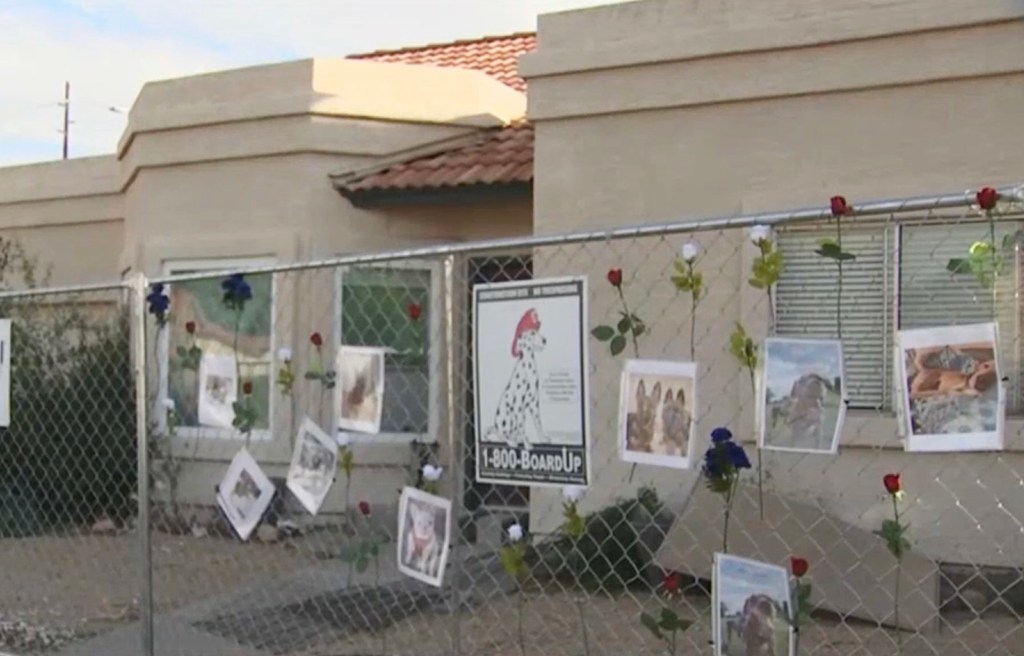 Activists set up pictures of the rescued animals on the fence put around Mclaughlin's house. 