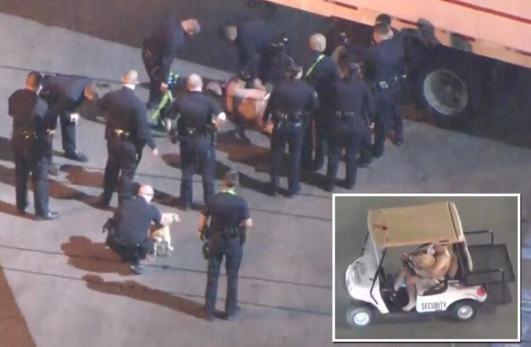 Shirtless man with dog leads cops on slow chase in golf cart