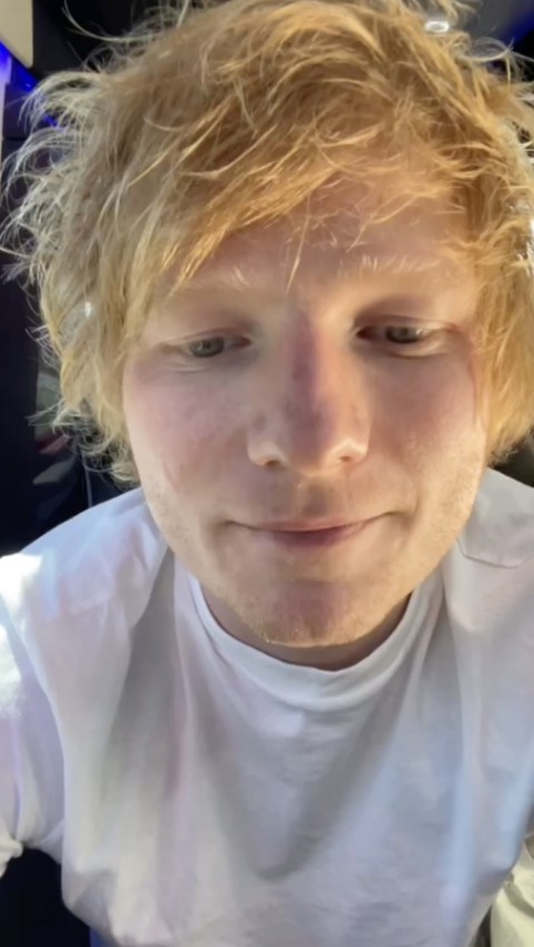 Ed Sheeran apoligized to his fans for what he said was some challenges encountered that halted him to go forward with the show.