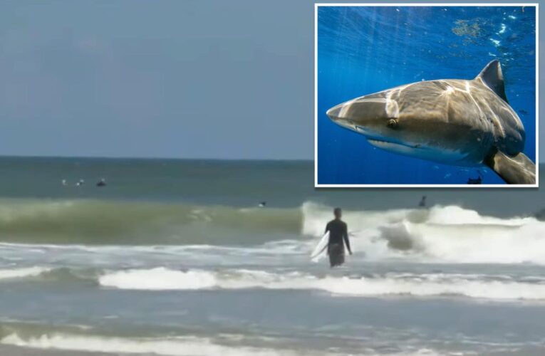 South Carolina surfer bit by shark in the face off Florida’s New Smyrna Beach