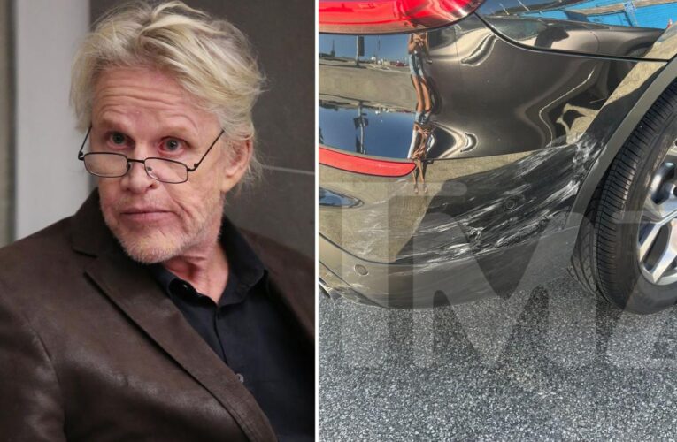 Woman chases Gary Busey after alleged Malibu hit-and-run: video
