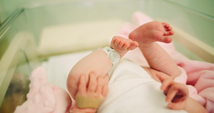 Canada just had its lowest number of births in 17 years. What’s behind it?