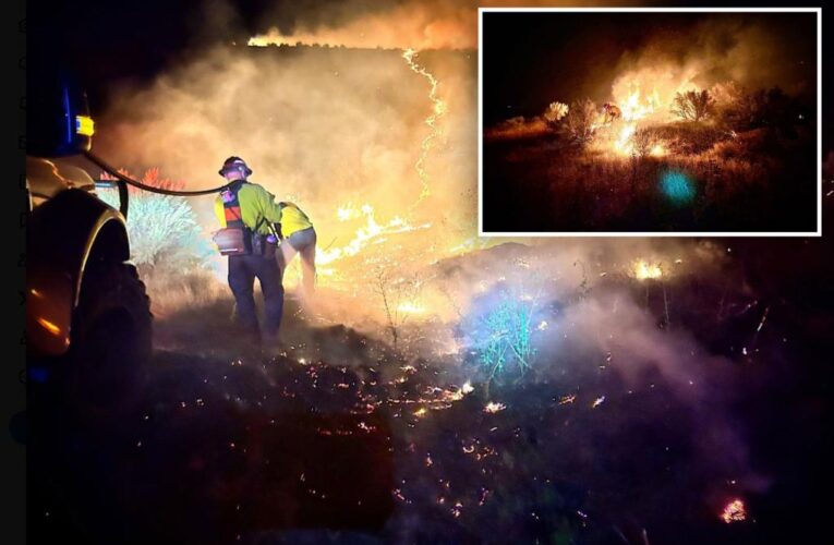 Idaho Teen ignites massive 28-acre fire after playing with fireworks with other kids, charged with arson