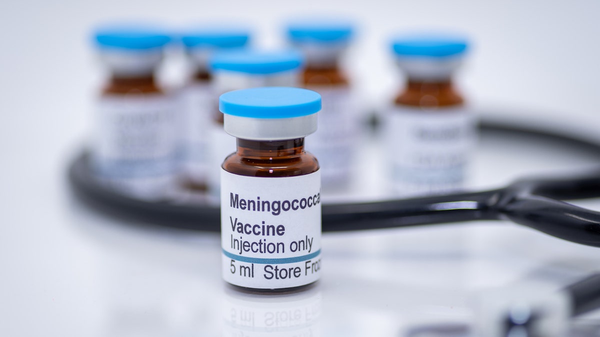 Meningococcal vaccine