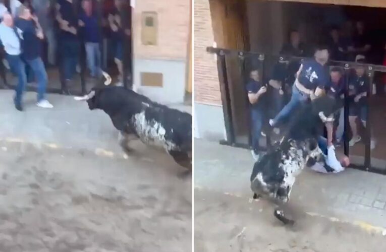 Man dies after being gored by bull at Spanish festival