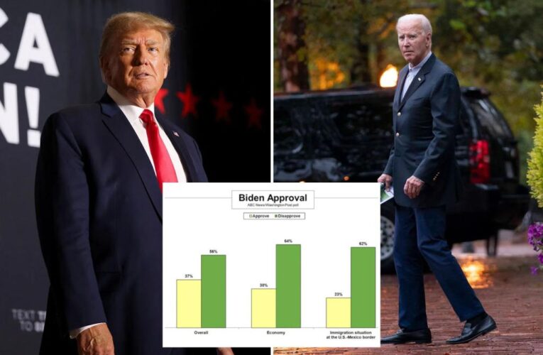 Trump scores 10-point lead over Biden: poll