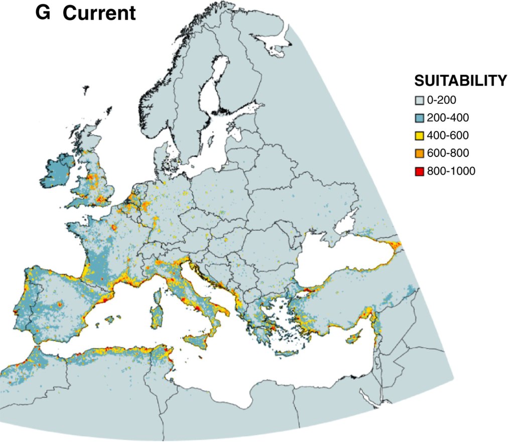 The pests have dispersed across the globe due to the maritime trade industry and shipping plant products.