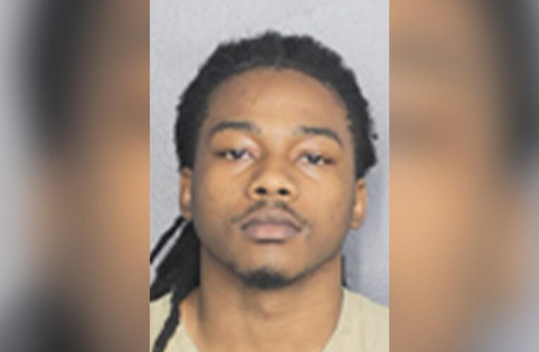 Florida good samaritan stops suspected robber Nicolas Deas who pistol-whipped employee: cops