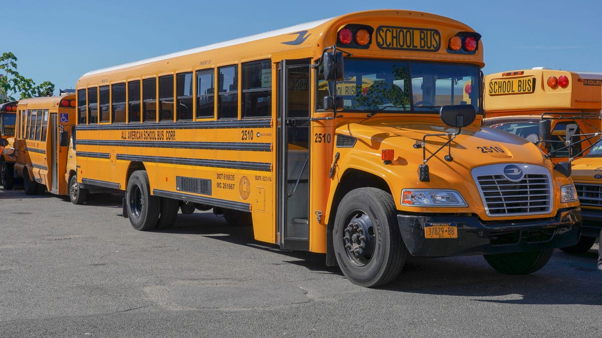 New York yellow school buses