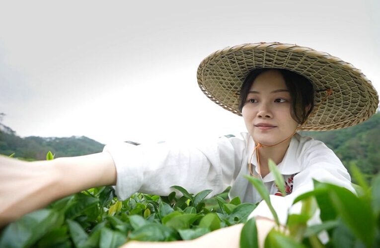 China’s gift to the world: the perfect cup of tea