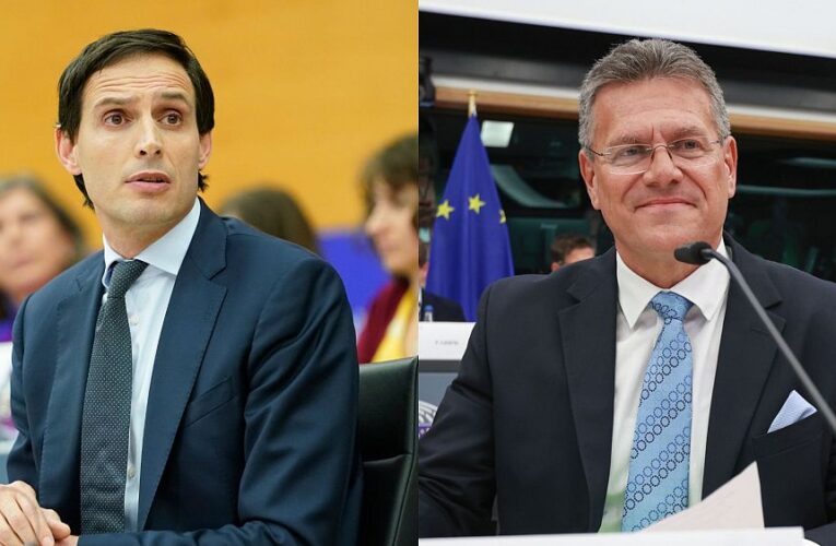 European Parliament committee delays endorsement of Hoekstra and Šefčovič for commissioner jobs