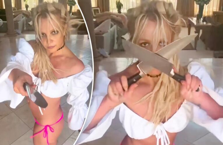 Britney Spears blasts fans who called cops after knife dance