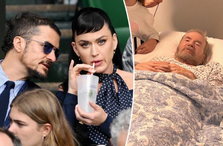 ‘Katy Perry Act’ proposed amid singer’s messy legal battle with retired vet