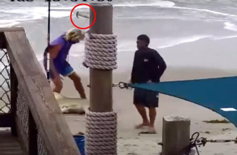 Florida man who beat lemon shark to death must take fishing classes
