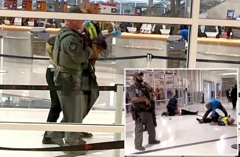 Atlanta woman Damaris Milton stabs 3 people, including officer, in Atlanta airport