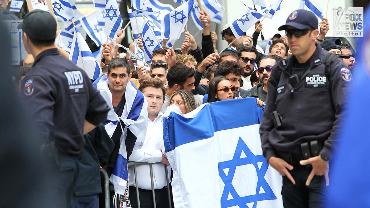 Demonstrators at a rally 