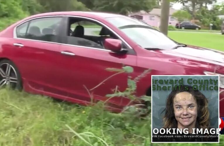 Florida woman beat up mom, stole car after argument: Cops