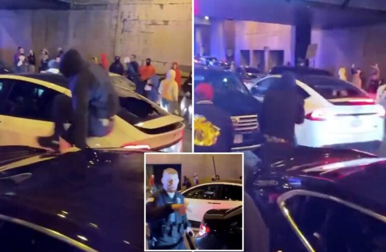 Shocking video shows moment Tesla is attacked by mob in Chicago