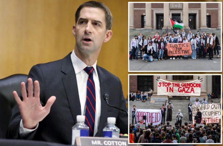 Sen. Tom Cotton calls for immediate deportation of foreign nationals who support Hamas