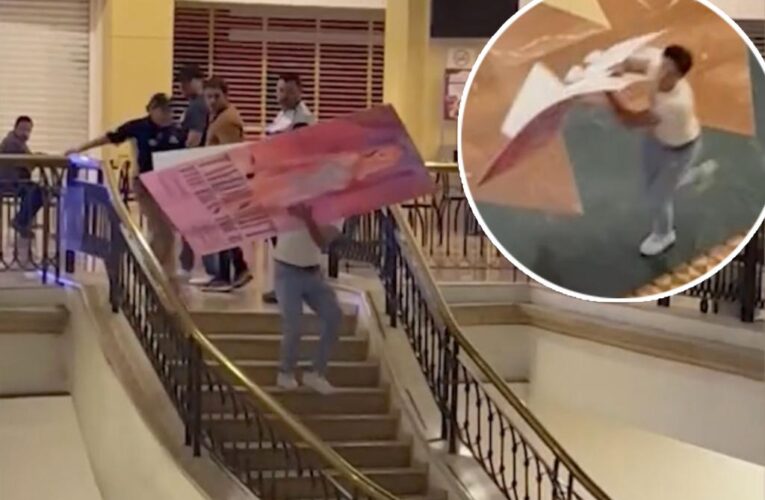 Taylor Swift fan escapes mall security after stealing ‘Eras’ cutout