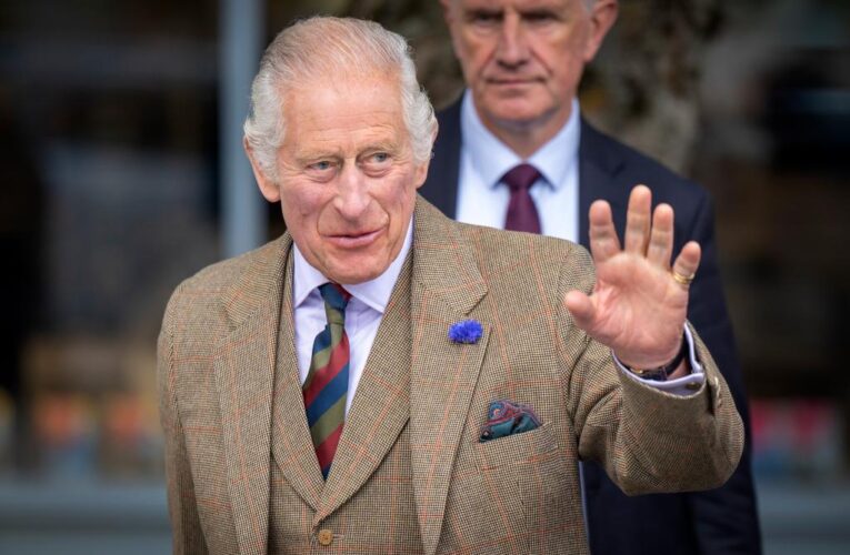 King Charles’ slimmed-down monarchy needs ‘younger blood’: report