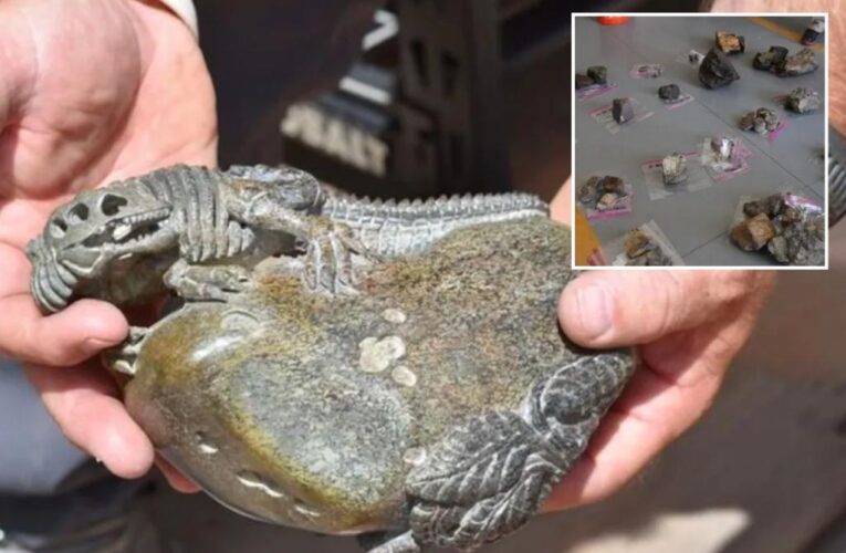 Poaching ring allegedly steals $1 million in dinosaur bones and sold them to China: DOJ