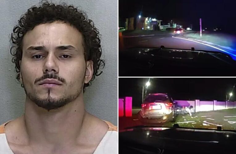 Florida man Tyler Fayconsolo smashes head through car window in wild police chase