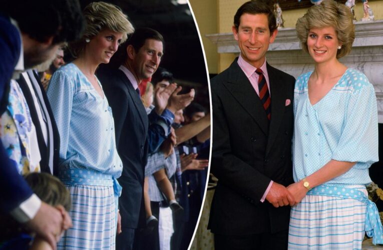 Princess Diana taunted Camilla with a blue polyester dress amid Charles marriage: royal author