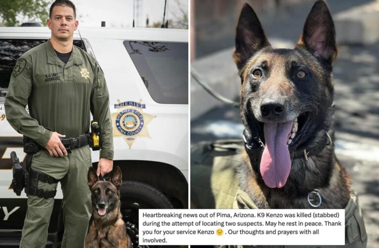 Hero K9 in Arizona stabbed to death by suspected armed robber: reports