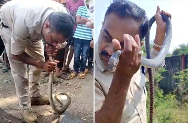 Shocking moment Indian officer attempts CPR on poisoned snake