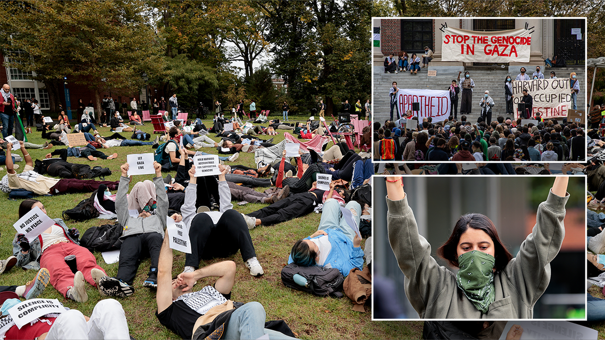 Palestinian protests at college