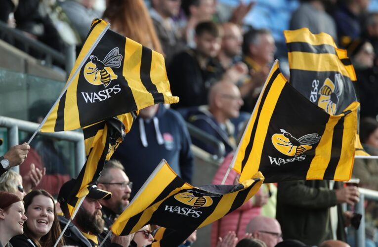 Wasps reveal plans for new stadium in Kent in 'new chapter' for club