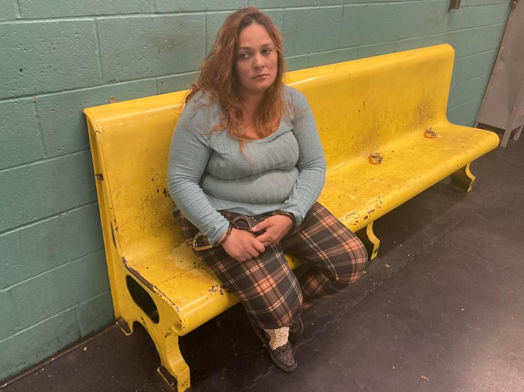 Trista Fullerton -- who has a criminal history including domestic battery charges -- was arrested at the scene and investigators interviewed her about where her two other children were, police said.