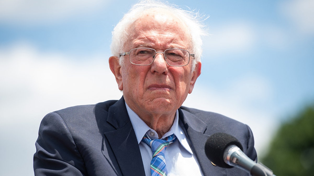 US Senator Bernie Sanders, Independent of Vermont, speaks to pro-immigration activists from organizations including CASA and the Center for Popular Democracy, as they hold a "WeCantWait" march to urge Congress to act on immigration reform, climate change, healthcare and jobs, during a rally on the National Mall in Washington, DC, June 24, 2021. (Photo by SAUL LOEB / AFP) (Photo by SAUL LOEB/AFP via Getty Images)