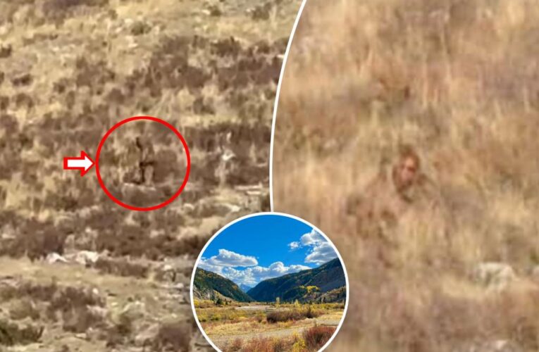 Bigfoot ‘spotted’ in Colorado in broad daylight — see the video