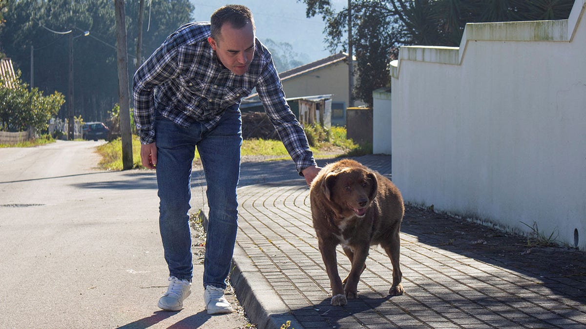 Bobi the dog in Portugal