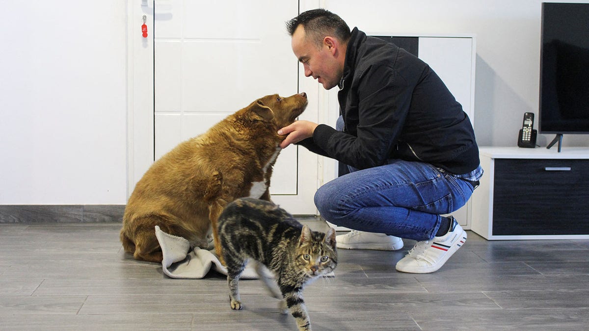 Bobi and his owner Leonel Costa