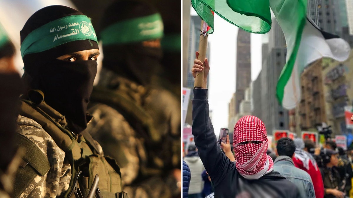 hamas new york pro-palestinian