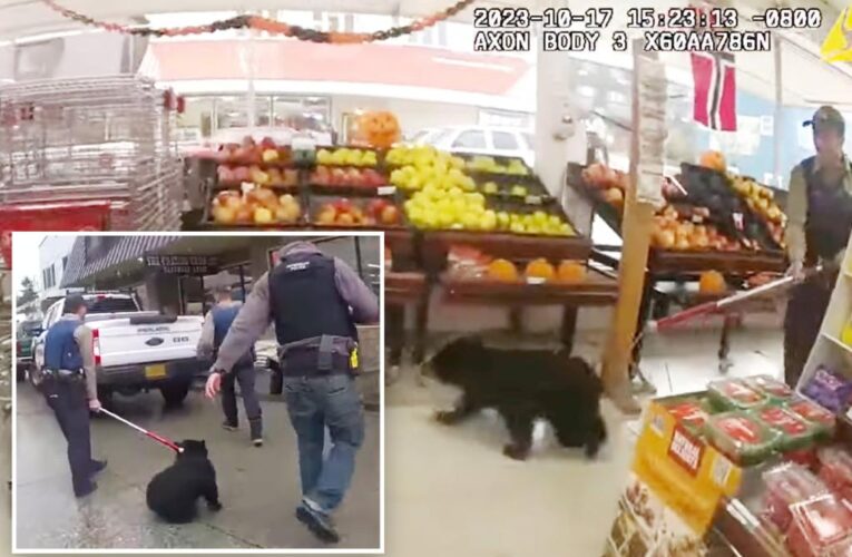 Bear cub seen running wild in Alaskan grocery store