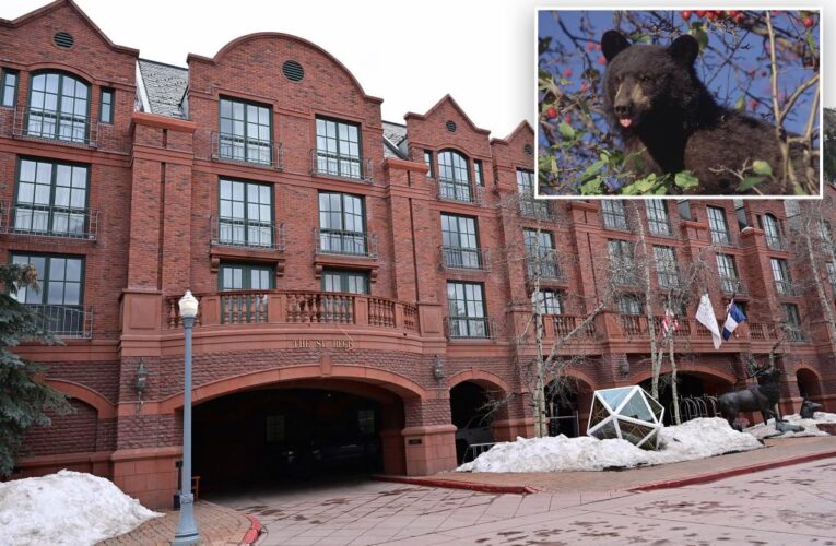 Bear attacks security guard in Aspen hotel kitchen, remains at large