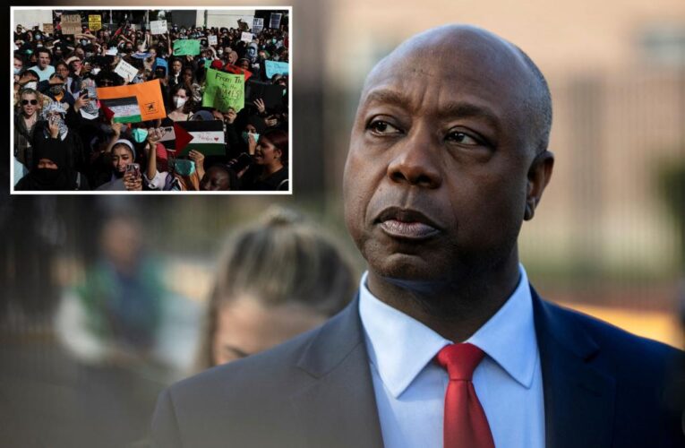 Sen. Tim Scott calls for the deportation of foreign students supporting Hamas 
