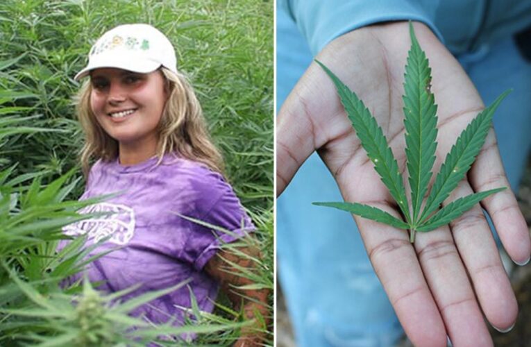NJ university offers cannabis minor and has weed farm
