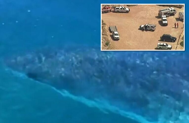 Police search for body after man mauled by shark in Streaky Bay, South Australia