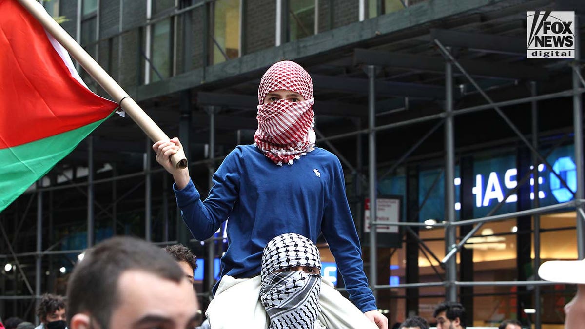 Pro-Palestinian demonstrators attend a rally in New York City